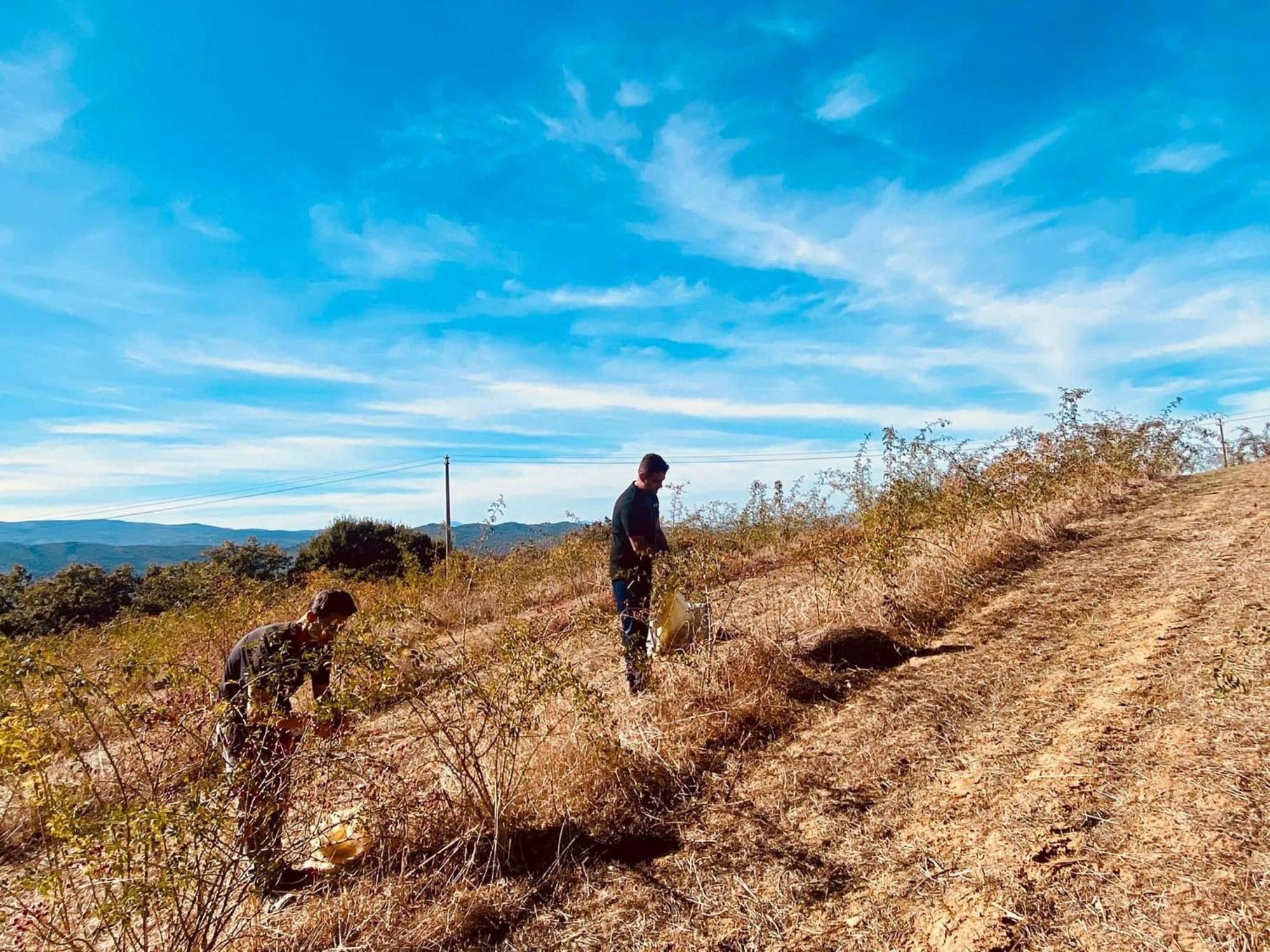 Agriturismo Il Riccio Monticchio  Eksteriør bilde