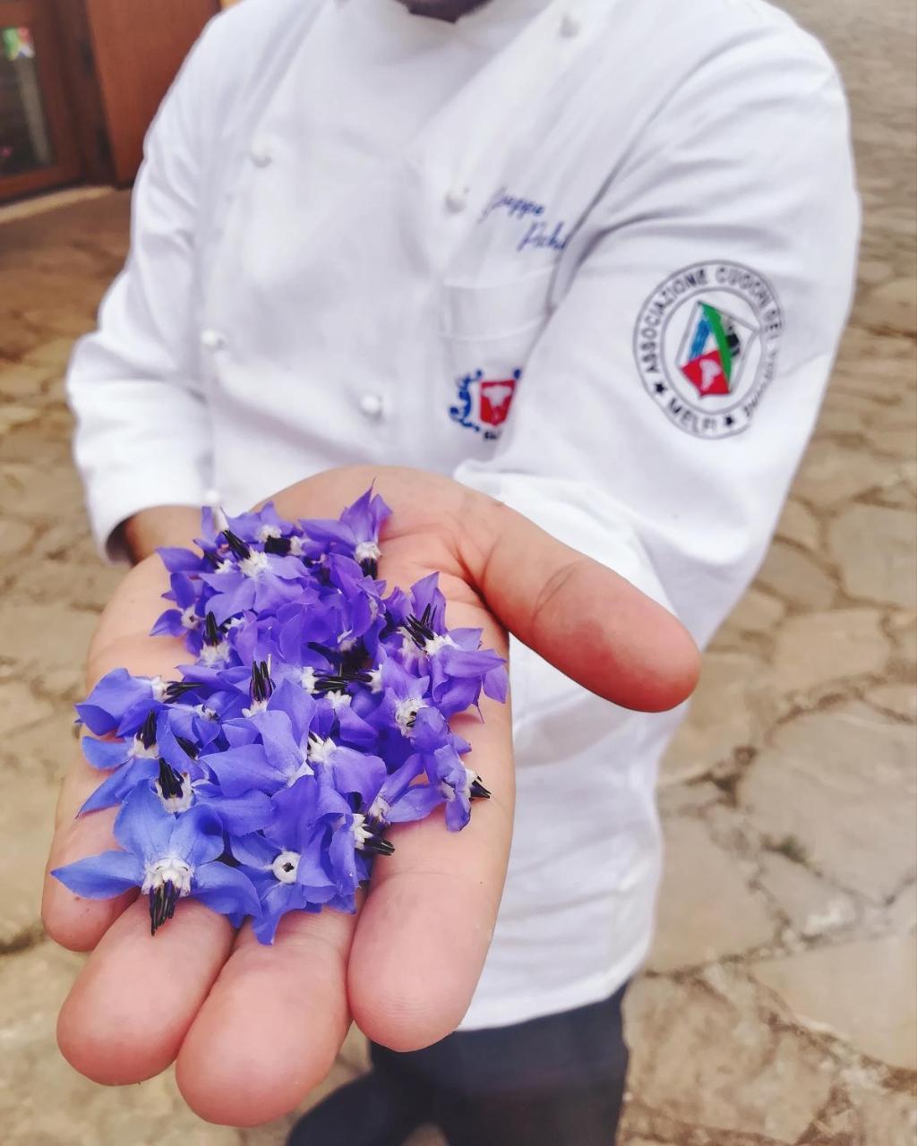 Agriturismo Il Riccio Monticchio  Eksteriør bilde
