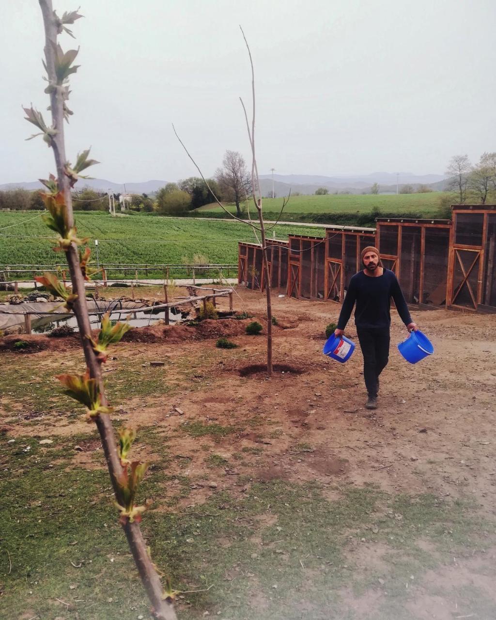 Agriturismo Il Riccio Monticchio  Eksteriør bilde
